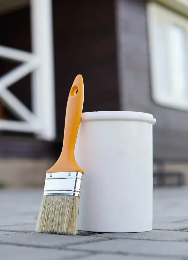 Professional House Painter